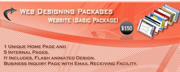 Website (Basic Package)