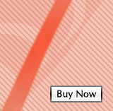 Website (Basic Package)